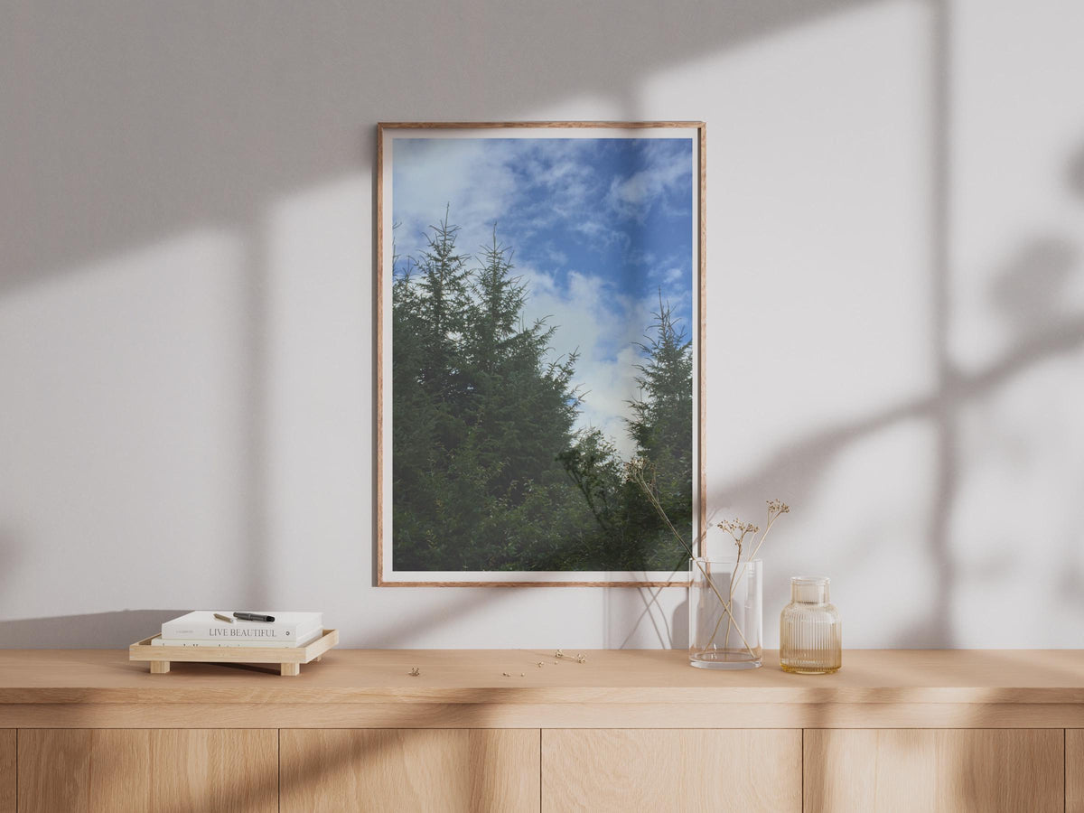 Evergreen Trees Blue Sky Poster - image 4