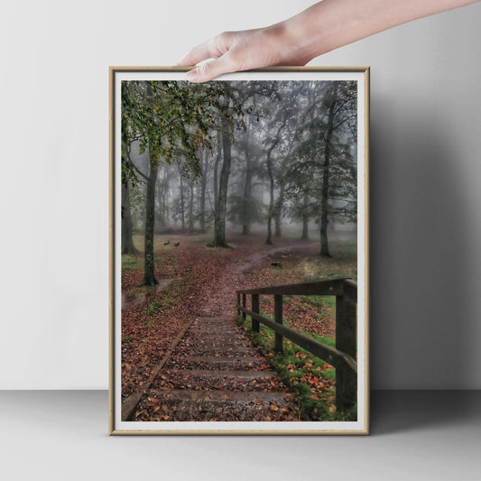 Misty Autumn Forest Poster, Woodland Steps Wall Art, Foggy Trees Print, Moody Nature Photography, Dark Green Brown Decor, Atmospheric Gift