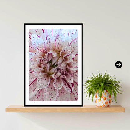 Speckled Dahlia Print | Macro Flower Photography, Botanical Wall Art, Cottagecore Decor