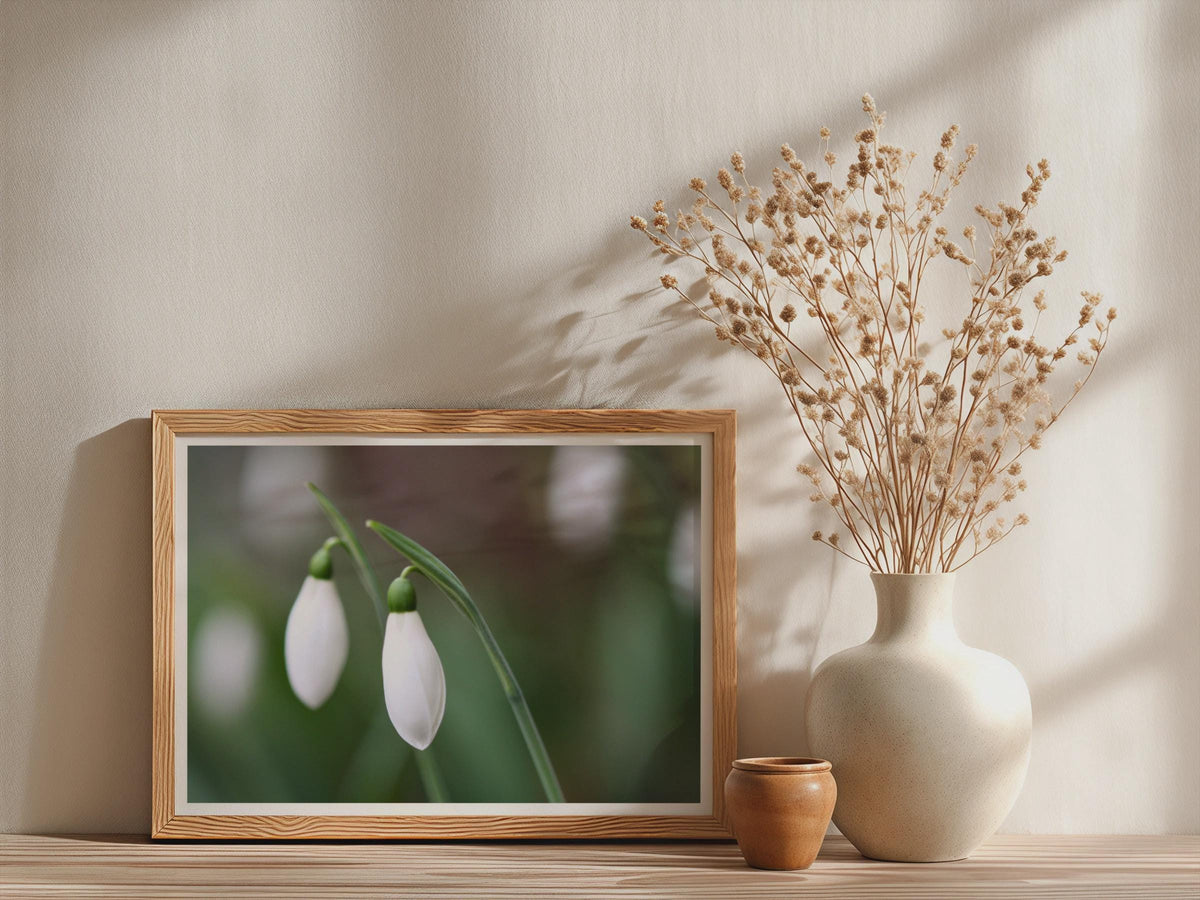 Snowdrop Flower Poster, White Spring Floral Framed-Print, Close Up Botanical Wall Art, Nature Photography Print, Green Garden Decor