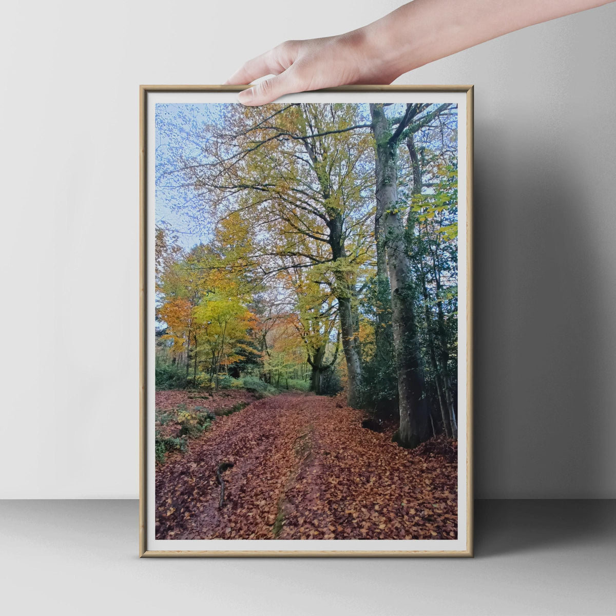 Autumn Forest Path Poster, Woodland Trees Wall Art, Fall Leaves Nature Print, Russet Gold Brown, Living Room Decor, British Countryside