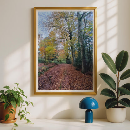 Autumn Forest Path Poster - image 2