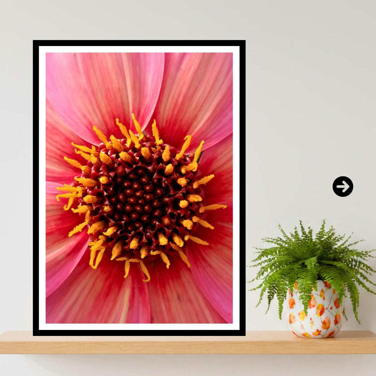 Pink Dahlia Macro Photography Print, Vibrant Botanical Fine Art, Cottagecore Decor