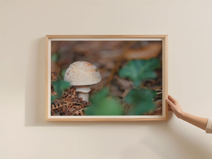 Woodland Mushroom Poster, Fungi Photography Framed Print, Forest Floor Nature Wall Art, Earthy Botanical Decor, Autumn Brown Green