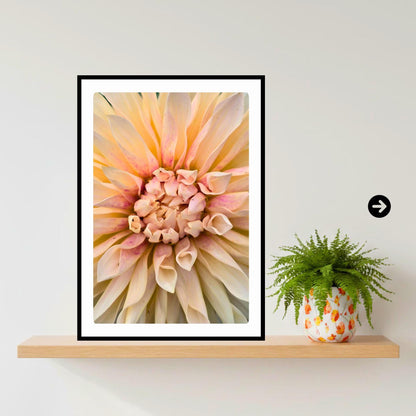 Cream Dahlia Macro Print | Soft Pastel Floral Botanical Wall Art