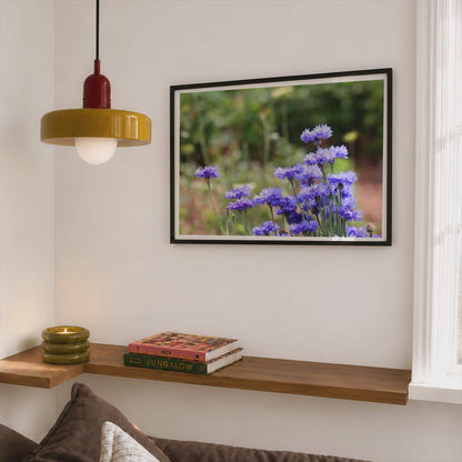Cornflower Blue Wildflower Poster, Botanical Floral Wall Art, Meadow Flower Framed-Print, Purple Garden Photography Print