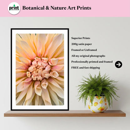 Cream Dahlia Macro Print | Soft Pastel Floral Botanical Wall Art