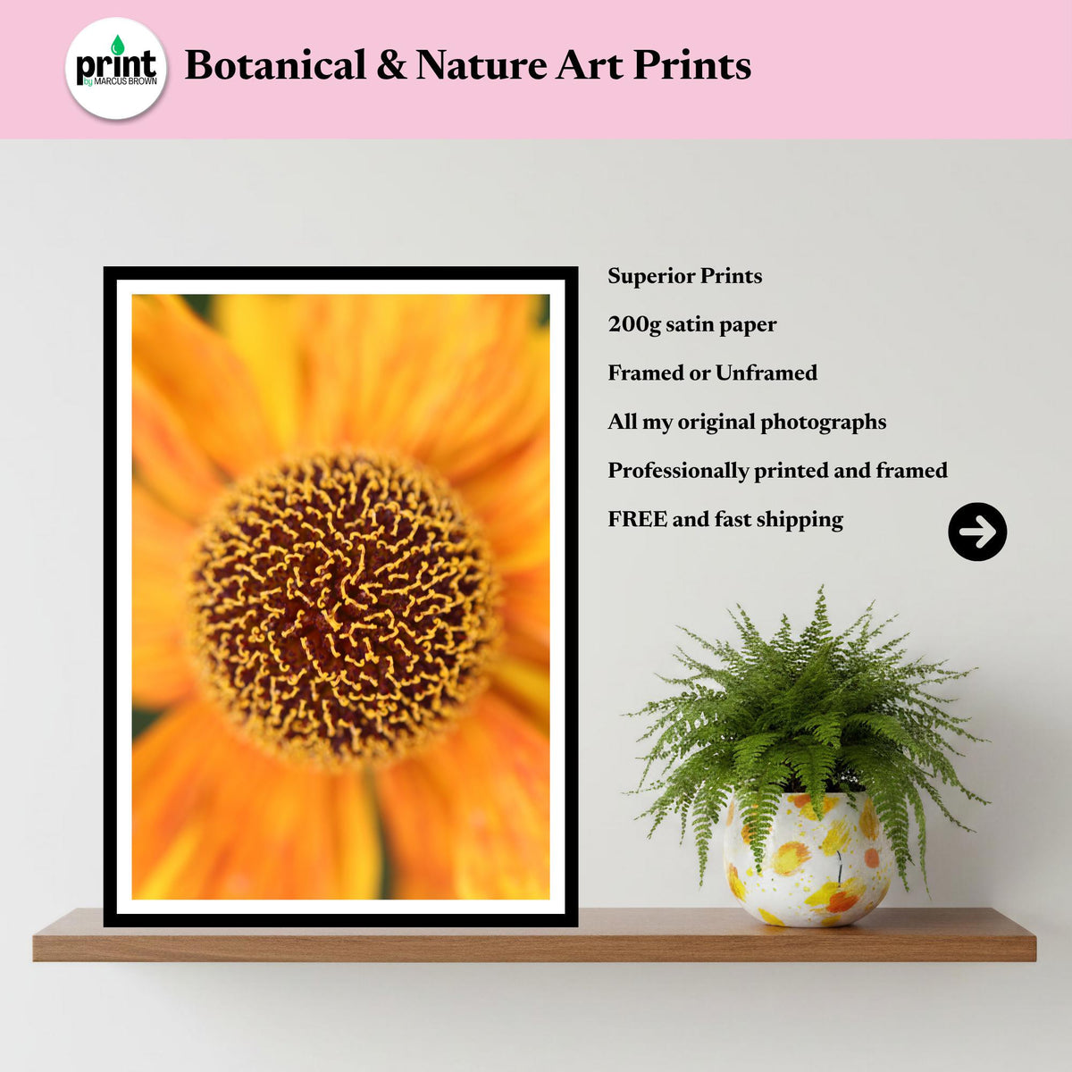 Orange Helenium Print | Summer Flower Macro Botanical Wall Art