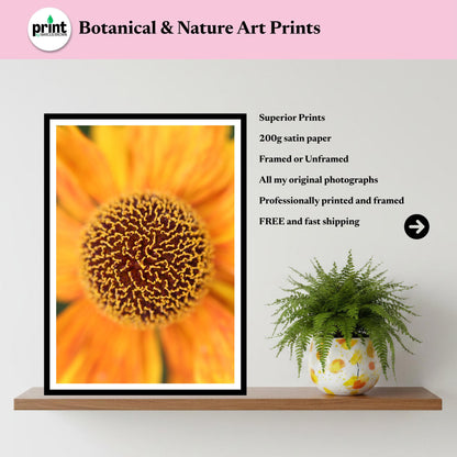 Orange Helenium Print | Summer Flower Macro Botanical Wall Art