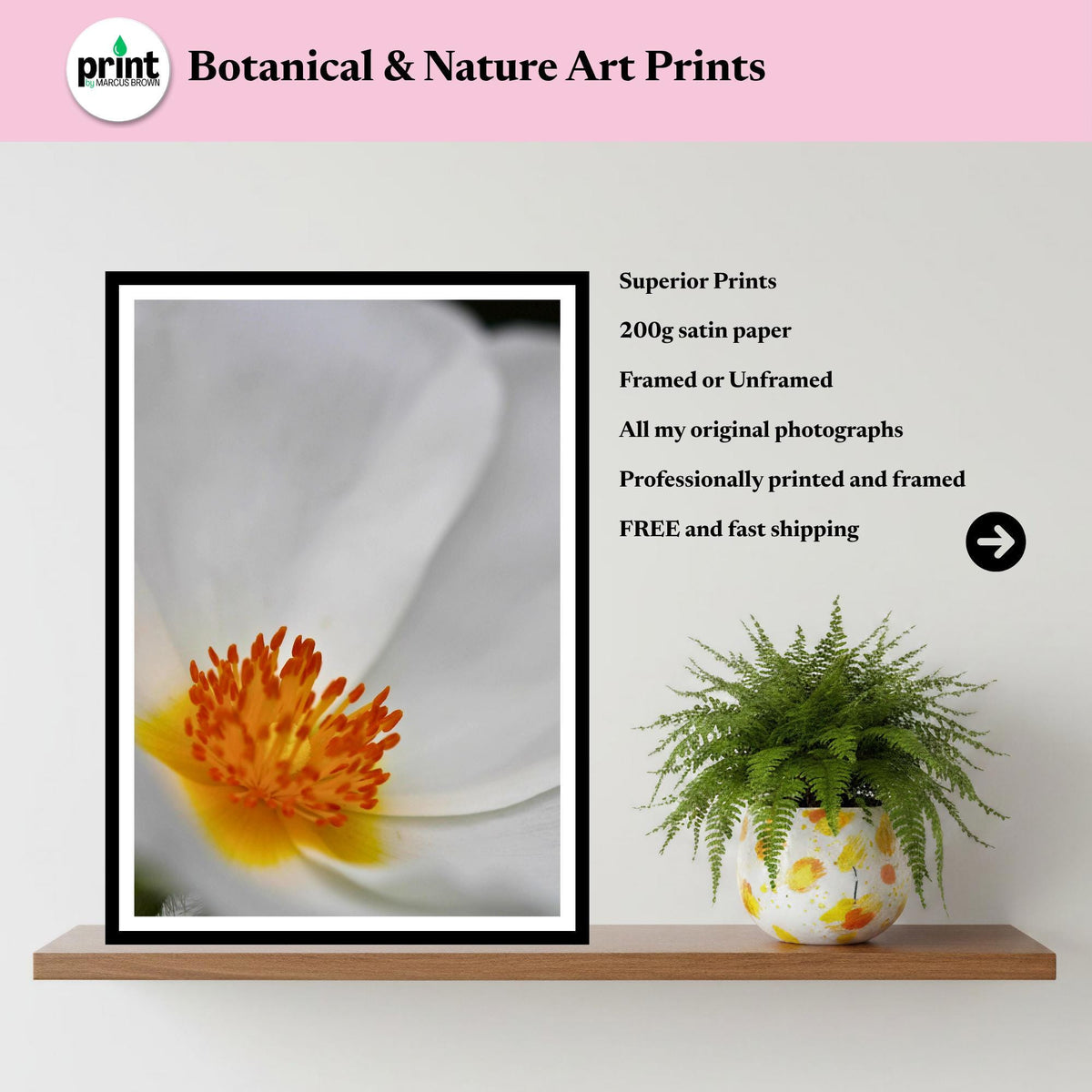 White Anemone Macro Print, Minimalist Botanical Photography, Elegant Floral Decor