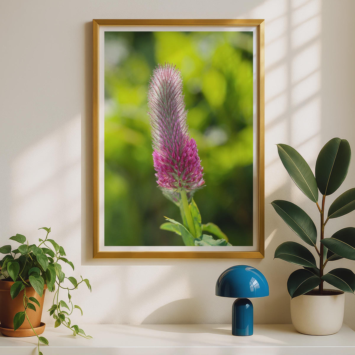 Crimson Clover Flower Photo Print, Pink Wildflower Poster, Botanical Wall Art, Close Up Nature Photography, Green Garden Decor Print