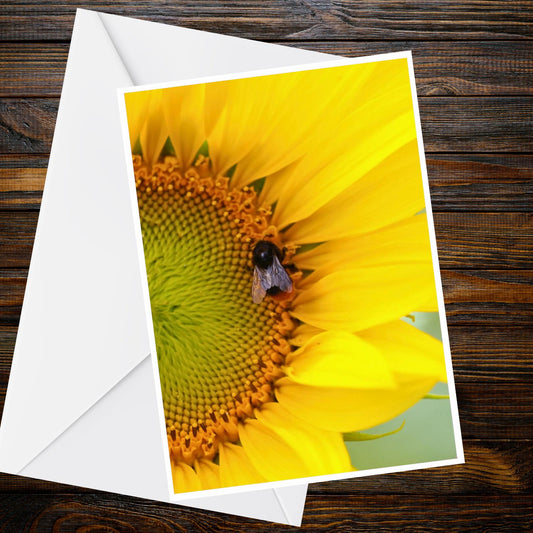 Sunflower Bumblebee A6 Photo Card – Nature Photography Greeting Card (UK Printed)