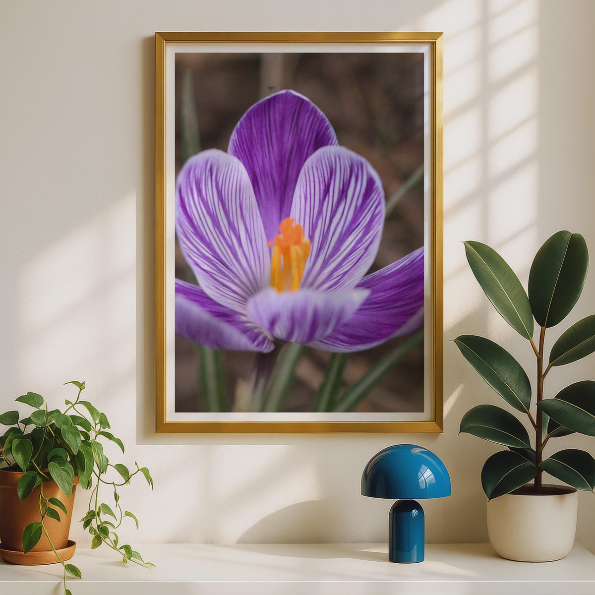 Purple Crocus Flower Photo Print, Close Up Spring Bloom Poster, Violet White Striped Petals, Botanical Wall Art, Nature Photography Print