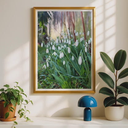Snowdrop Flower Poster, White Spring Flowers Photography Print, Garden Wall Art, Botanical Photo, Nature Lover Gift, Green and White Decor