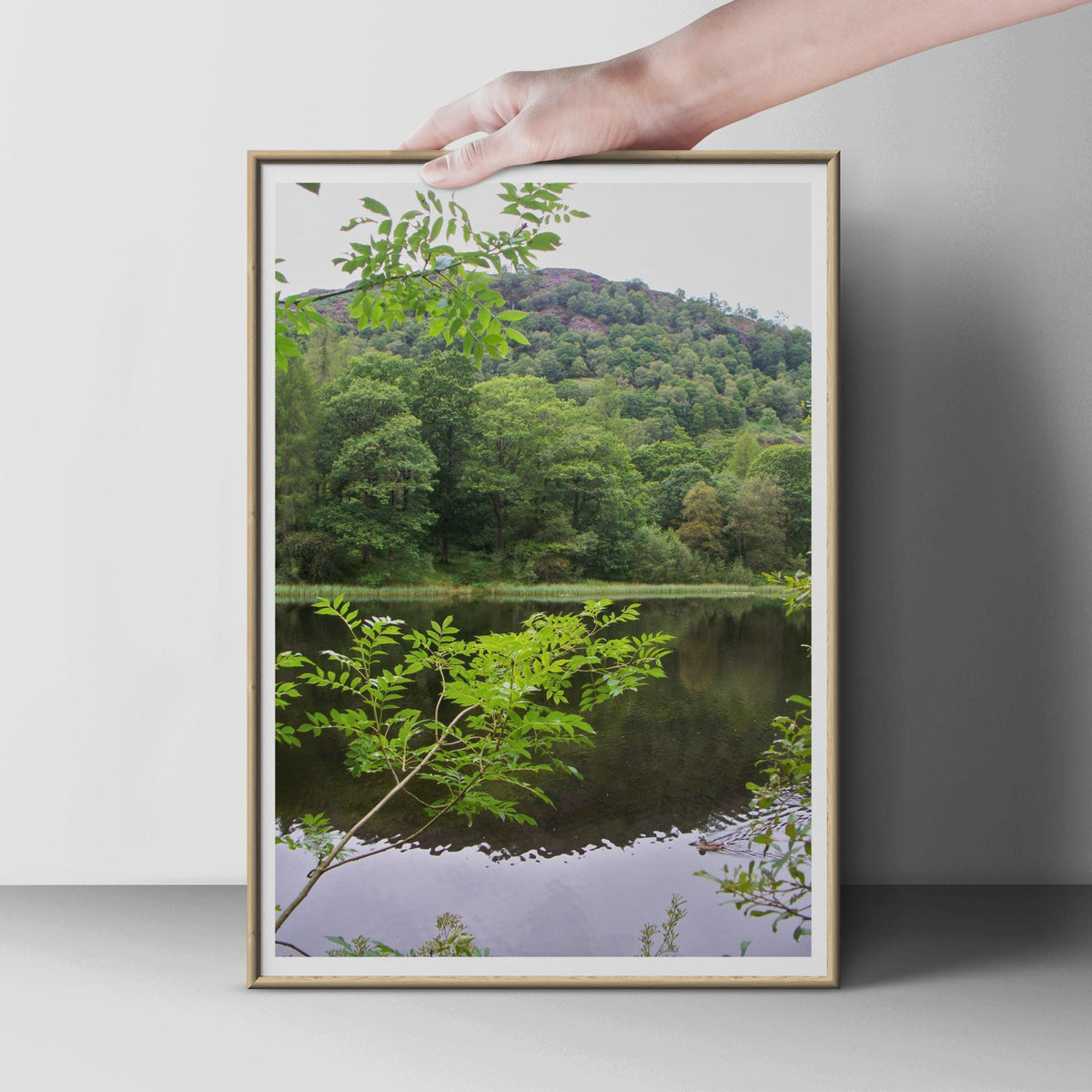 Forest Lake Reflection Poster, Green Trees Woodland Print, Still Water Nature Wall Art, British Countryside Landscape, Living Room Decor
