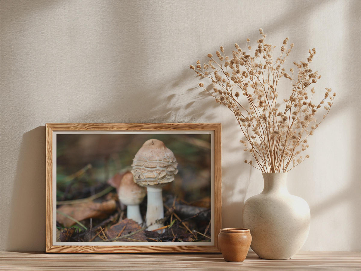 Fungi Photography Poster mockup - Neutral_Mockup_Studio_509