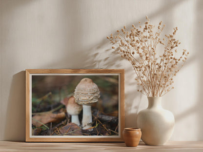 Fungi Photography Poster mockup - Neutral_Mockup_Studio_509