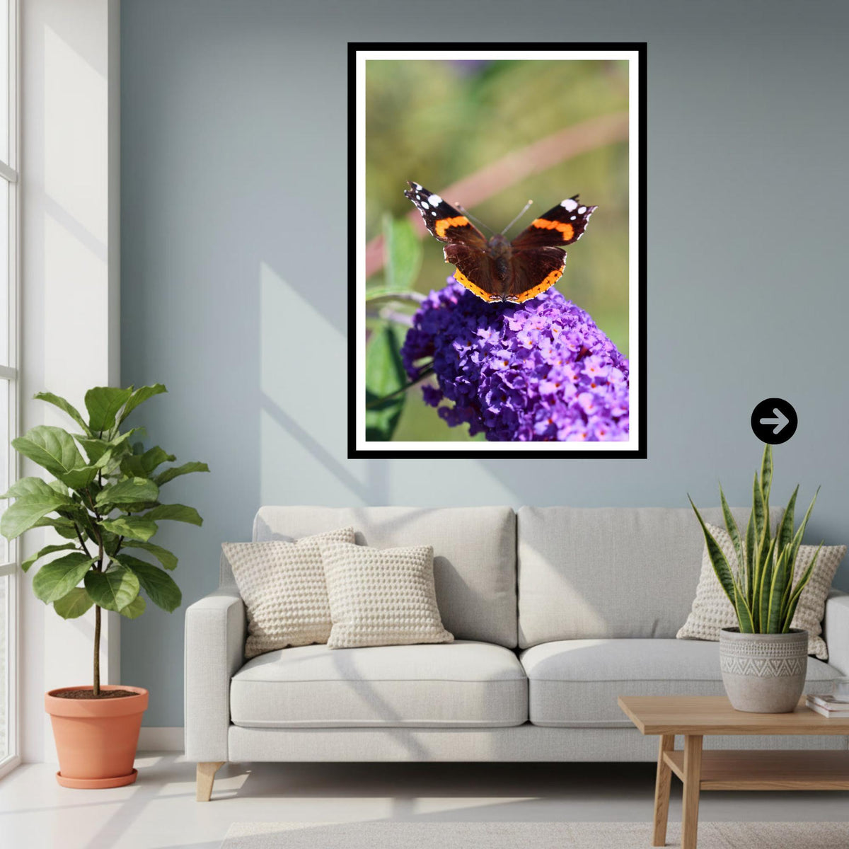 Red Admiral Butterfly Wall Art, Purple Flower Nature Photography Print