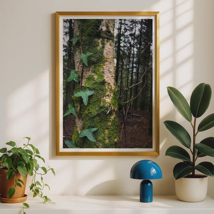 Moss Covered Tree Trunk Forest Poster - image 2