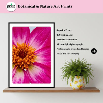 Pink Dahlia Macro Print | Vibrant Botanical Wall Art, Cottagecore Decor