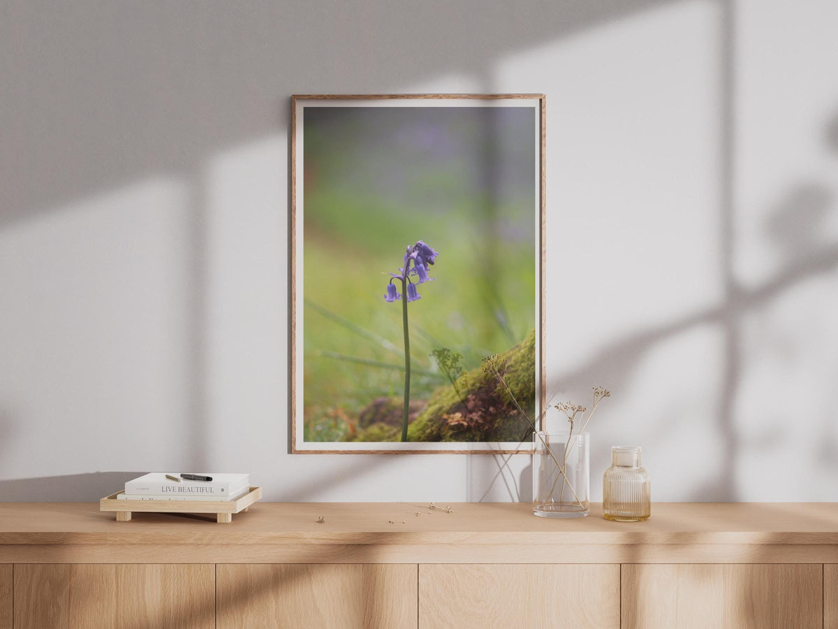 Bluebell Flower Photography Print, Single Bluebell Poster, British Wildflower Wall Art, Purple Botanical Photo, Woodland Nature Print
