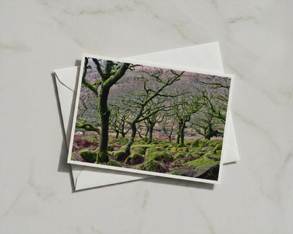 Mossy Ancient Oak Trees Poster, Dartmoor Woodland Framed-Print, Atmospheric Forest Landscape Wall Art, Nature Photography Print