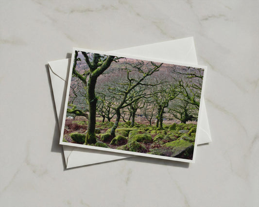 Mossy Ancient Oak Trees Poster, Dartmoor Woodland Framed-Print, Atmospheric Forest Landscape Wall Art, Nature Photography Print