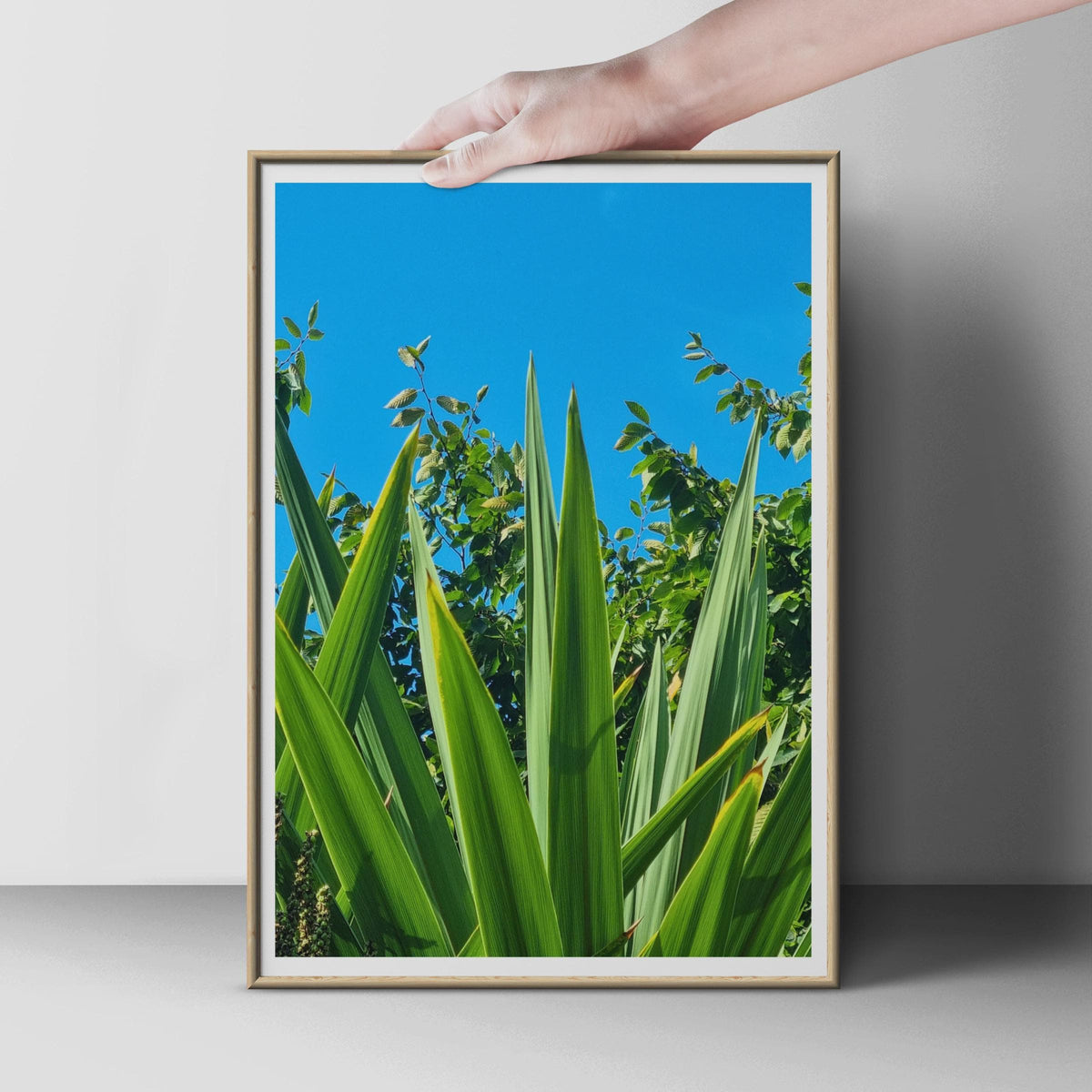 Tropical Leaf Photography Print, Green Plant Wall Art, Bold Botanical Poster, Blue Sky Garden, Nature Lovers Gift, Vibrant Foliage Decor