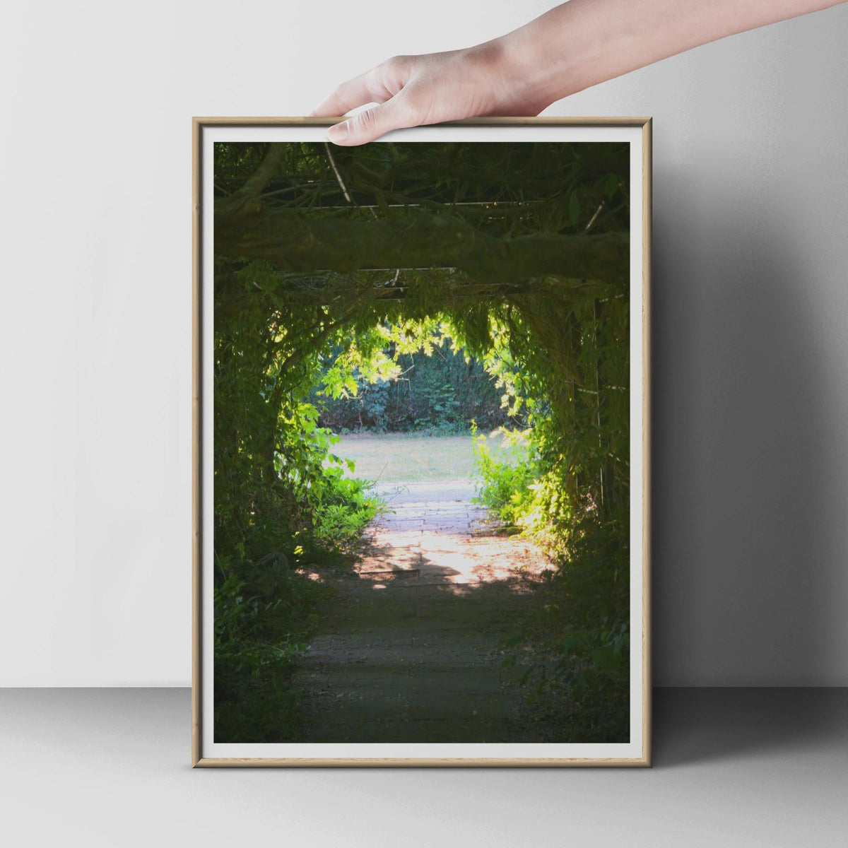 Garden Tunnel Arch Photography Print, Green Leafy Pergola Path Poster, Secret Garden Wall Art, Nature Pathway, Botanical Garden Decor