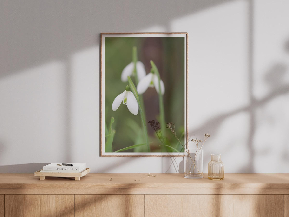 Snowdrop Flower Photography Print, White Spring Flowers Wall Art, Botanical Nature Poster, Garden Floral Print, Green and White Home Decor