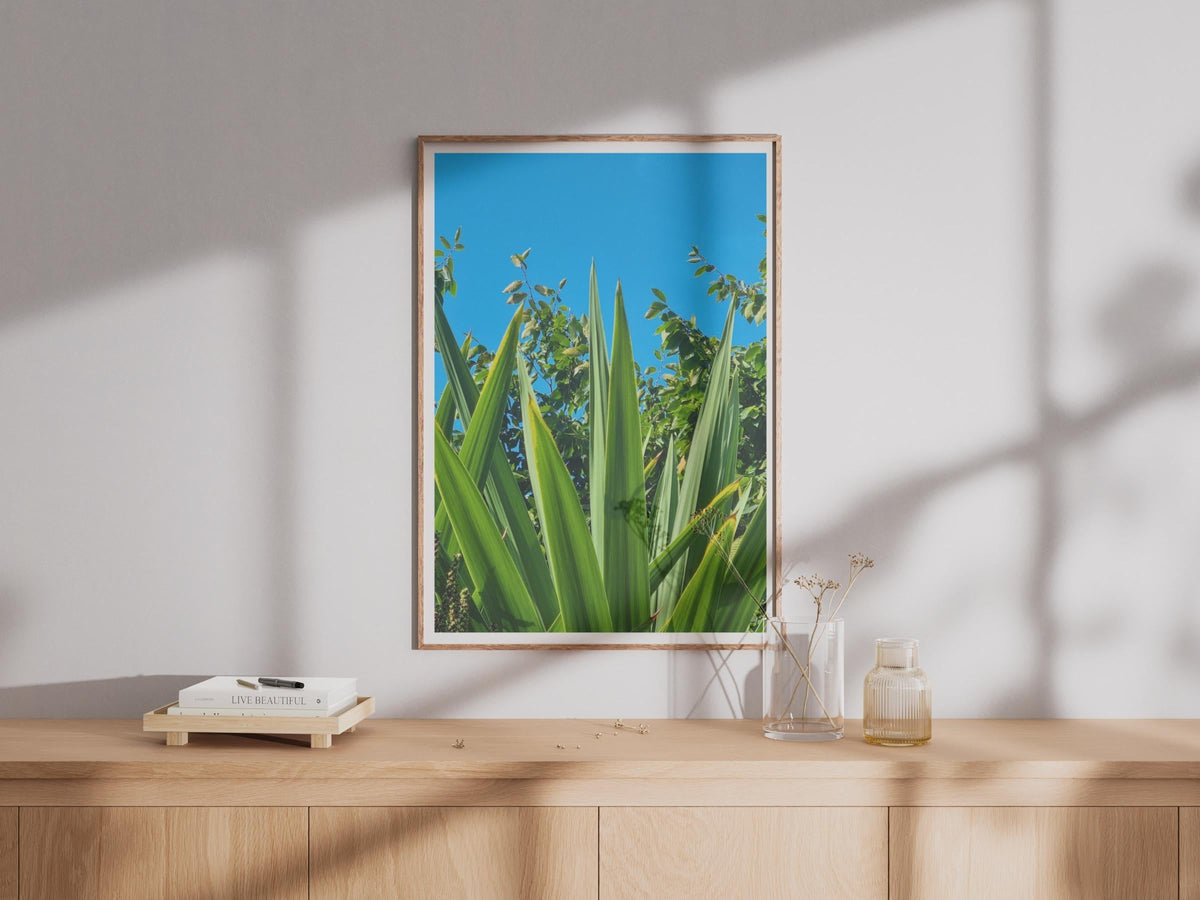 Tropical Leaf Photography Print, Green Plant Wall Art, Bold Botanical Poster, Blue Sky Garden, Nature Lovers Gift, Vibrant Foliage Decor