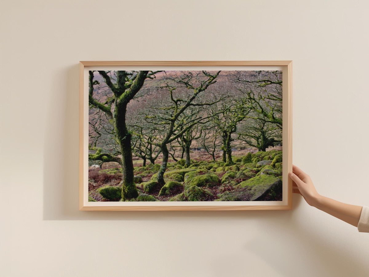 Ancient Mossy Oak Woodland Poster, Dartmoor Forest Framed-Print, Gnarled Trees Landscape, British Nature Wall Art, Green Moorland Photo