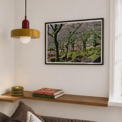 Ancient Mossy Oak Woodland Poster - image 2