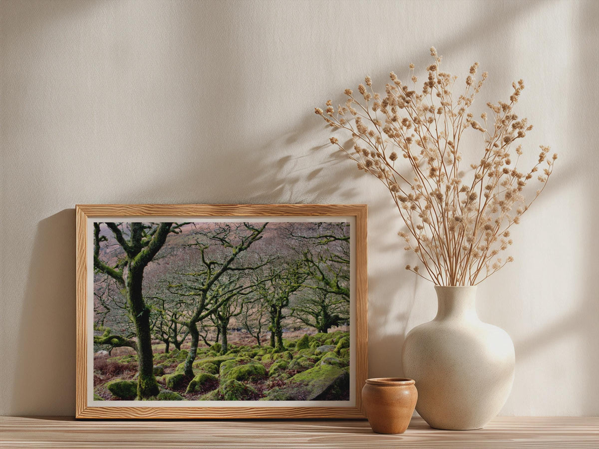 Ancient Mossy Oak Woodland Poster - image 3