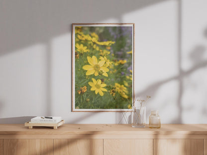 Yellow Coreopsis Flower Poster, Botanical Garden Wall Art, Bright Floral Photography Print, Summer Garden Decor, Nature Photo Print
