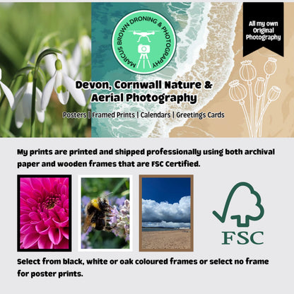 The image is a promotional poster for Devon, Cornwall, and Aerial Photography, featuring various images related to nature and photography.