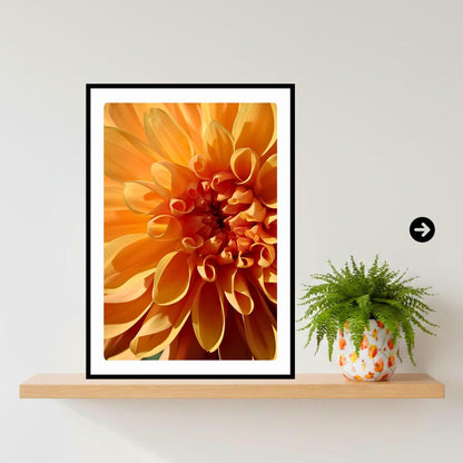 Orange Dahlia Macro Print | Golden Petal Botanical Wall Art