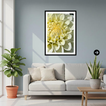 White Dahlia Macro Print | Elegant Botanical Wall Art, Soft Floral Decor