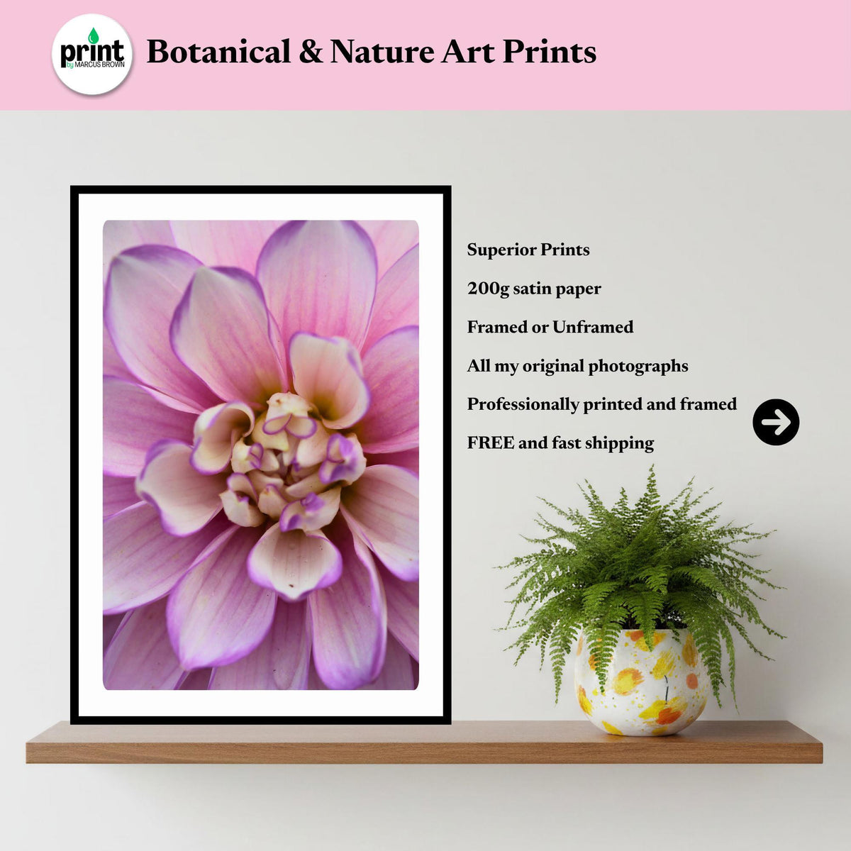 Soft Lavender Dahlia Macro Print | Pastel Botanical Wall Art (Cottagecore Decor)