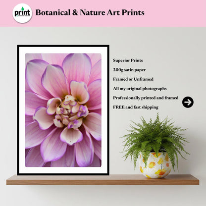 Soft Lavender Dahlia Macro Print | Pastel Botanical Wall Art (Cottagecore Decor)
