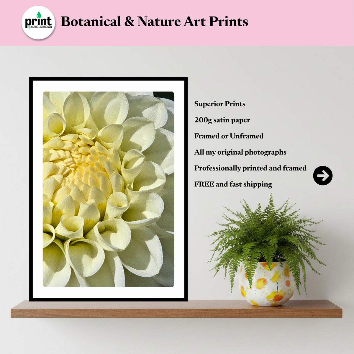 White Dahlia Macro Print | Elegant Botanical Wall Art, Soft Floral Decor