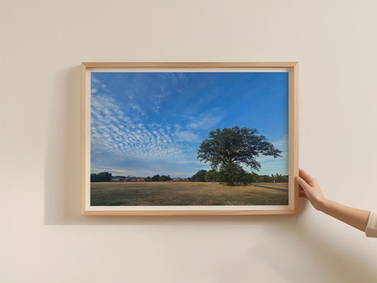 English Oak Tree Poster, Summer Park Landscape Framed-Print, Blue Sky Wall Art, British Countryside Nature Print, Golden Meadow Home Decor