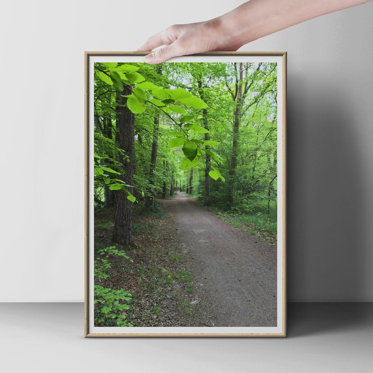 Forest Path Poster, Green Woodland Walk Wall Art, Nature Photography Print, Tree Lined Trail, Lush Forest Print for Living Room or Hallway