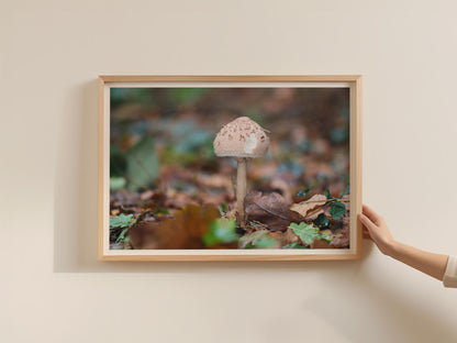 Fungi Woodland Poster, Parasol Mushroom Framed Print, Autumn Forest Floor Nature Photography Wall Art