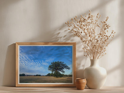 English Oak Tree Poster, Summer Park Landscape Framed-Print, Blue Sky Wall Art, British Countryside Nature Print, Golden Meadow Home Decor