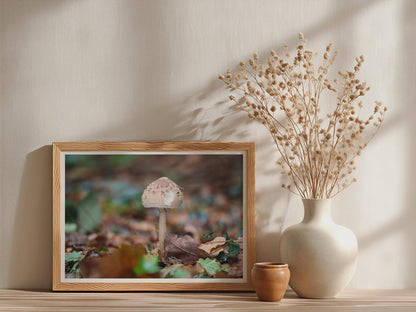 Fungi Woodland Poster mockup - Neutral_Mockup_Studio_509