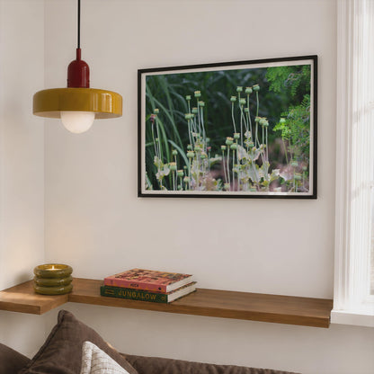 Poppy Seed Heads Botanical Poster, Green Garden Photography Framed-Print, Nature Wall Art, Wildflower Decor, Botanical Print for Living Room