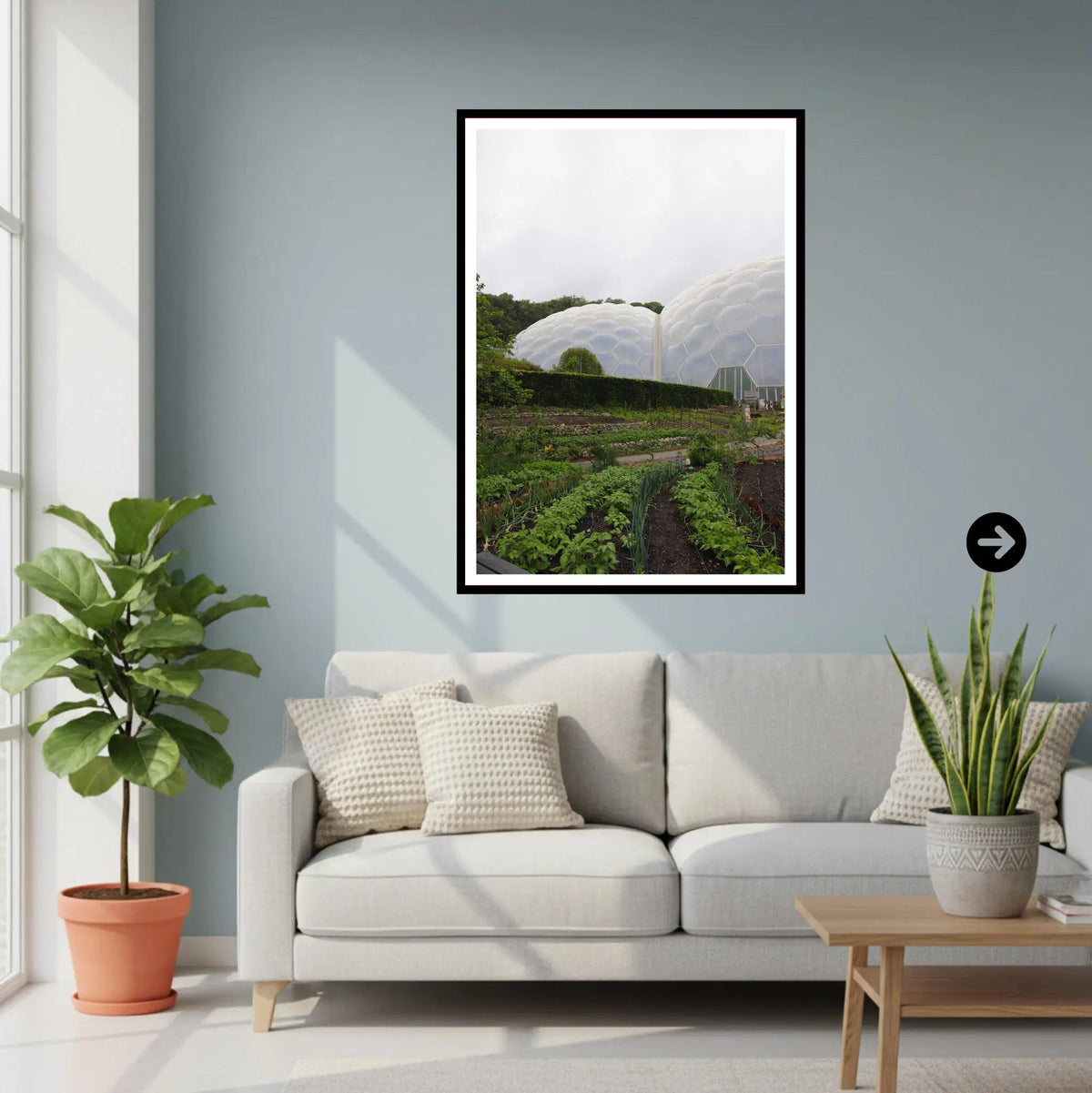 Eden Project Biomes with Kitchen Garden, Cornwall — Wall Art Photography Print