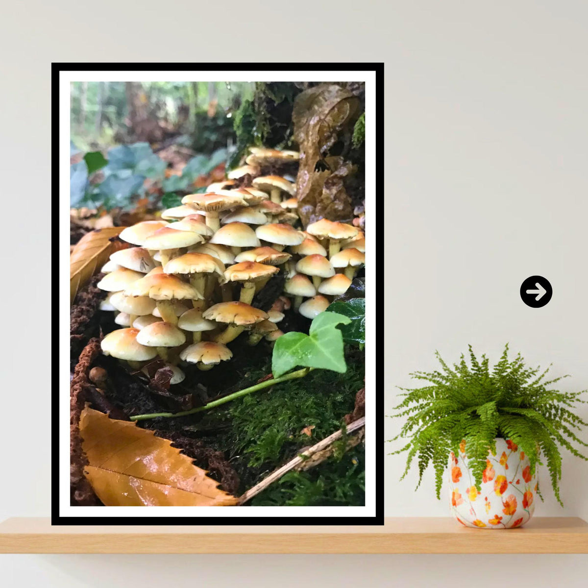 Sulphur Tuft Fungi Print Art, Mushroom Nature Photography, Woodland Decor, Botanical and Fungi Collection, Archival FSC Certified Poster