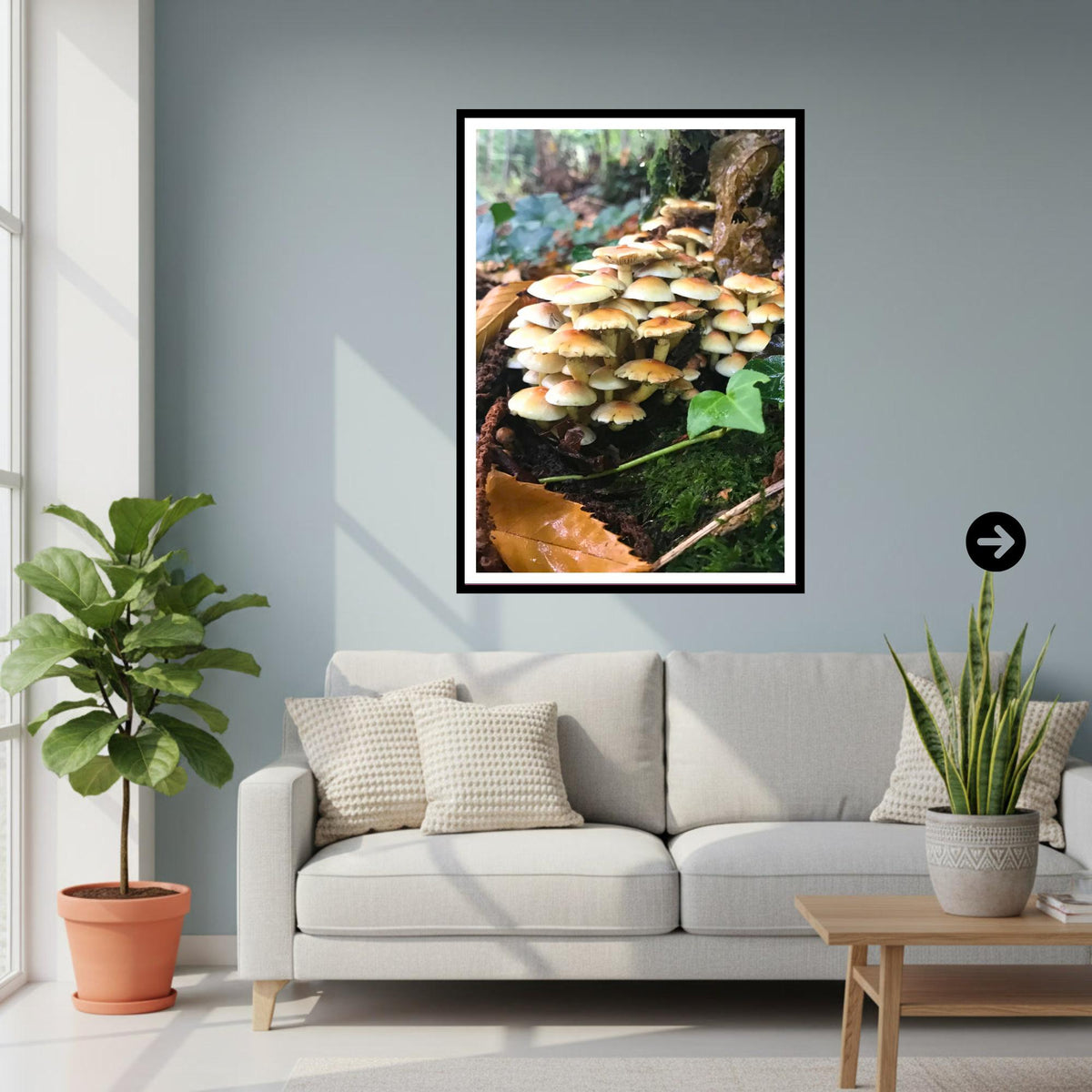 Sulphur Tuft Fungi Print Art, Mushroom Nature Photography, Woodland Decor, Botanical and Fungi Collection, Archival FSC Certified Poster